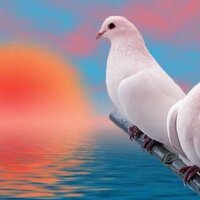 Ефимова Наталья