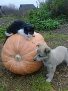 Савинов Владимир