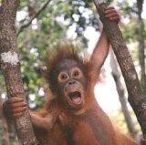 Данилов Михаил