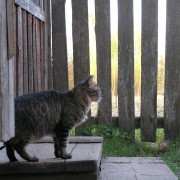 Тимиряев Олег