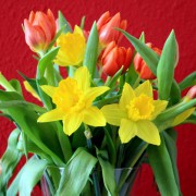 Зозуля Ирина Валентиновна