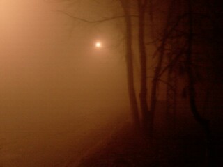 Туманный мир