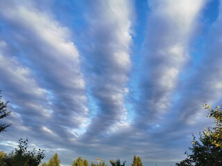 облачные грядки