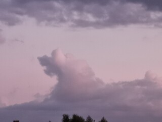 облачный барбос