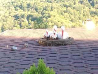 Фото № 31 автор Колмыков Сергей. Голосование: Кристина Иванова; Доброе утро! Тогда я отдаю свой голос за фотографии под номерами 18, 23 и 31