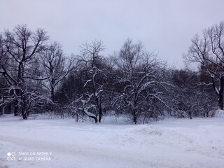 Фото №30 автор Осидак Алексей Владимирович