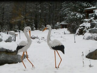 Фото № 26 автор Рамиль Ахметьянов. Голосование: Владимир Шпень; Я голосую за фото #2, #6. #13. #26. Лотта Неизвестная;  1. 23 домик 2. 29 собор 3. 26 цапли 4. 28 море А. Осидак; Я выбираю вот эти фотографии: Фото ?? 19, 23, 26, 32