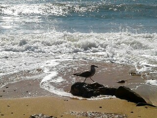 Фото № 24 автор Наталья Ищенко. Приз зрительских симпатий. Проголосовало четыре человека: Анна Р, Гараев Алмаз Ахметович, Клавдия Сапожникова, Панкова Надежда 