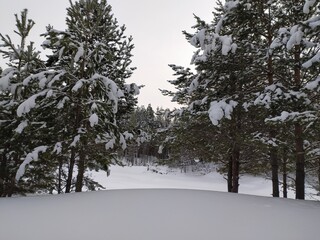 Фото № 22 автор Клавдия Сапожникова. Голосование: Авдеев Андрей; Отдаю свой голос за фото : 22, 23, 28, 29. Алексей Цветков; Свой голос отдаю за фото 32, 14, 13, 22.  Гараев Алмаз Ахметович; Отдаю свои голоса за фото под номерами 12, 18, 22, 24