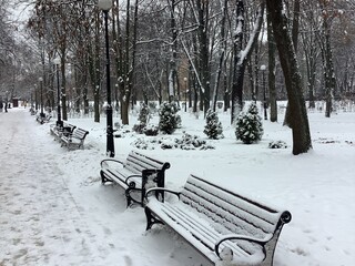 Фото № 14 автор Лотта Неизвестная. Голосование: Greg; Еще 3 фотографии -14,15,28. Алексей Цветков;  Свой голос отдаю за фото 32, 14, 13, 22.  Игорь Мажаровский; Здравствуйте! Голосую за фото под номерами: 12, 13, 14, 32