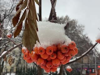 Фото № 13 автор  Лотта Неизвестная. Первое место. Проголосовало девять человек; Алексей Цветков, Владимир Шпень, Игорь Мажаровский, Клавдия Сапожникова, Кристина Иванова, Ксении Блюм, Наталья Ищенко, Панкова Надежда, Рамиль Ахметьянов.