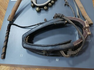 Фото № 7 автор Наталья Федоровна