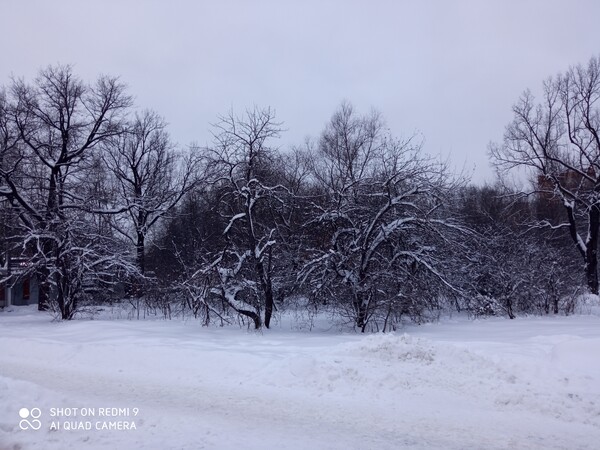 Фото №30 автор Осидак Алексей Владимирович