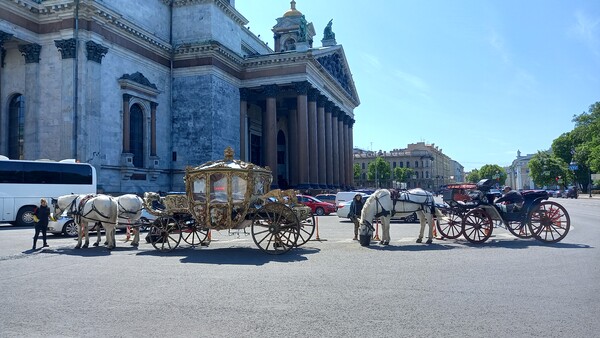 Фото 25 автор Наталья Ищенко