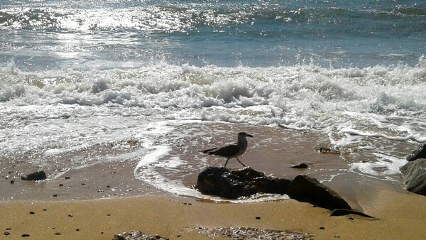 Фото № 24 автор Наталья Ищенко. Приз зрительских симпатий. Проголосовало четыре человека: Анна Р, Гараев Алмаз Ахметович, Клавдия Сапожникова, Панкова Надежда 