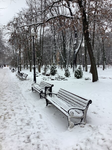 Фото № 14 автор Лотта Неизвестная. Голосование: Greg; Еще 3 фотографии -14,15,28. Алексей Цветков;  Свой голос отдаю за фото 32, 14, 13, 22.  Игорь Мажаровский; Здравствуйте! Голосую за фото под номерами: 12, 13, 14, 32