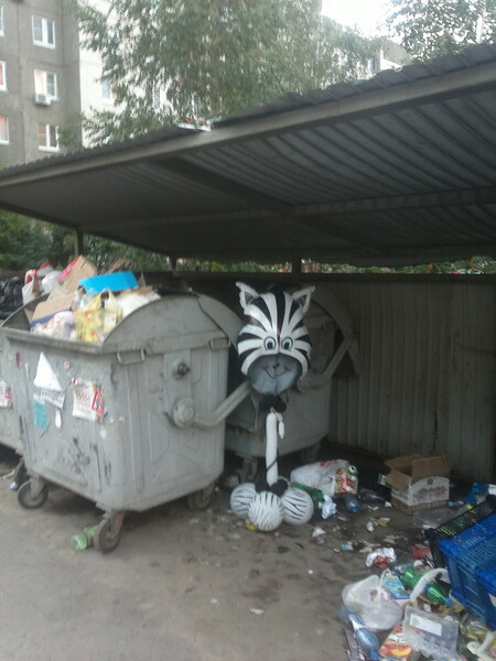 Фото № 9 автор Виктор В. Голосование; Сергей Барабанщиков; Я проголосовал, за эти фото под такими номерами: 9,10,16,29