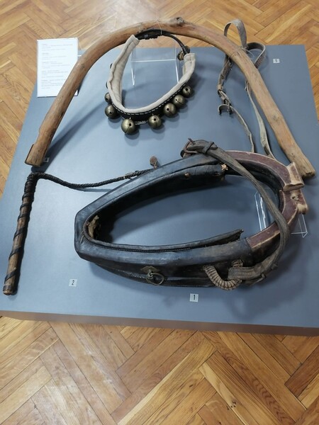 Фото № 7 автор Наталья Федоровна