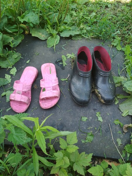 Фото № 2 автор Колмыков Сергей. Голосование: Анна Р Мой голос отдаю за фото под номерами: 2, 8, 19, 24. Владимир Шпень Я голосую за фото #2, #6. #13. #26