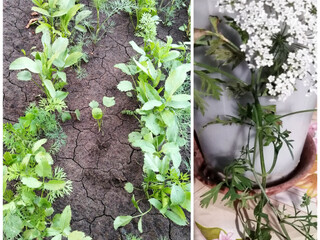 Фото №2 (3 б.)