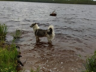 Фото №6 (22 б.)