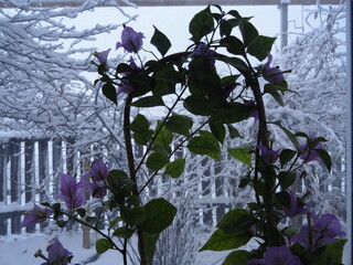 Фото №8 (23 б.)