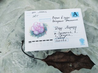 Фото №11 (1 МЕСТО - 40 б.)