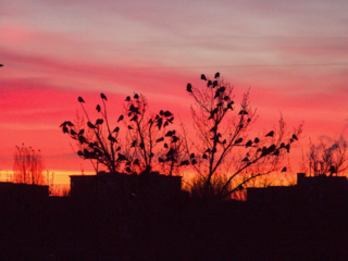 Фото №17 (4 б.)