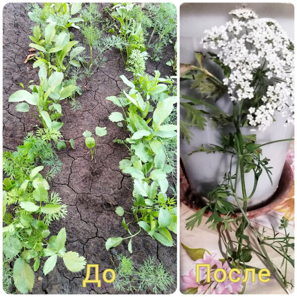 Фото №2 (3 б.)