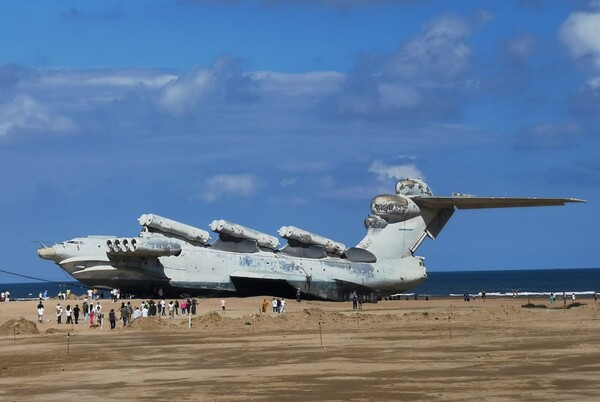 Фото №12 (6 б.)