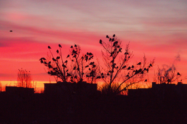 Фото №17 (4 б.)