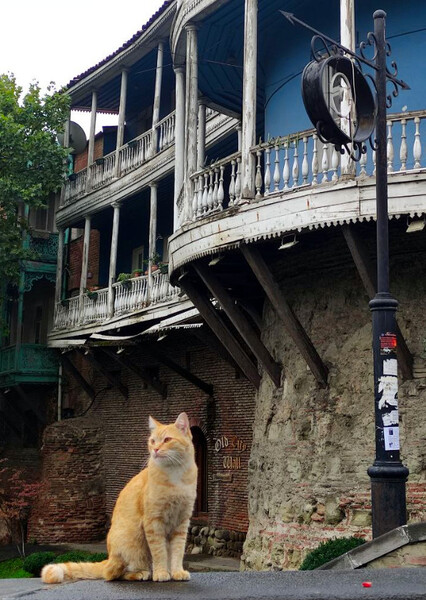 Фото №18 (11 б.)