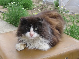 Ну вот и всё .... Пенсия....