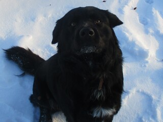 Никогда не отгадаете,как меня зовут!