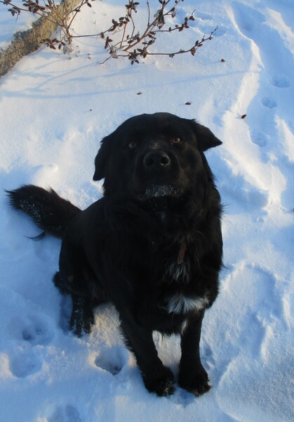 Никогда не отгадаете,как меня зовут!