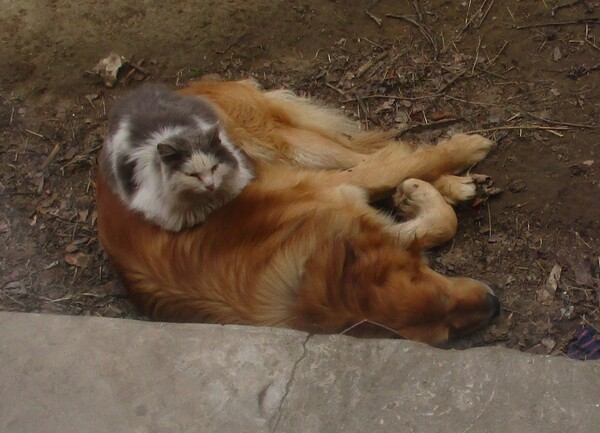 Сабачий спальный мешки- самый тёплый, аднако!
