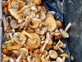 Море грибов😁😁😁