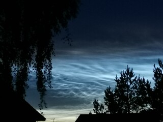 Фото № 9 Победитель первого этапа" Фото" Автор Шурыгин Вадим https://ya-poyu.ru/user/12744