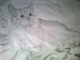 Моё художество