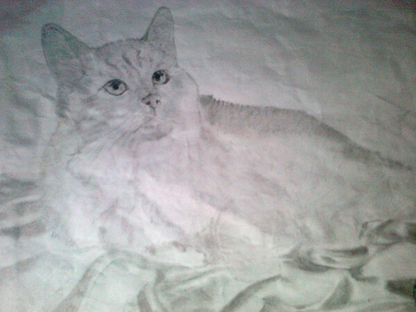 Моё художество