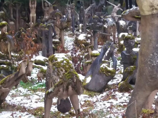 Парк Париккала